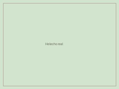 Helecho real