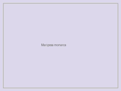 Mariposa monarca